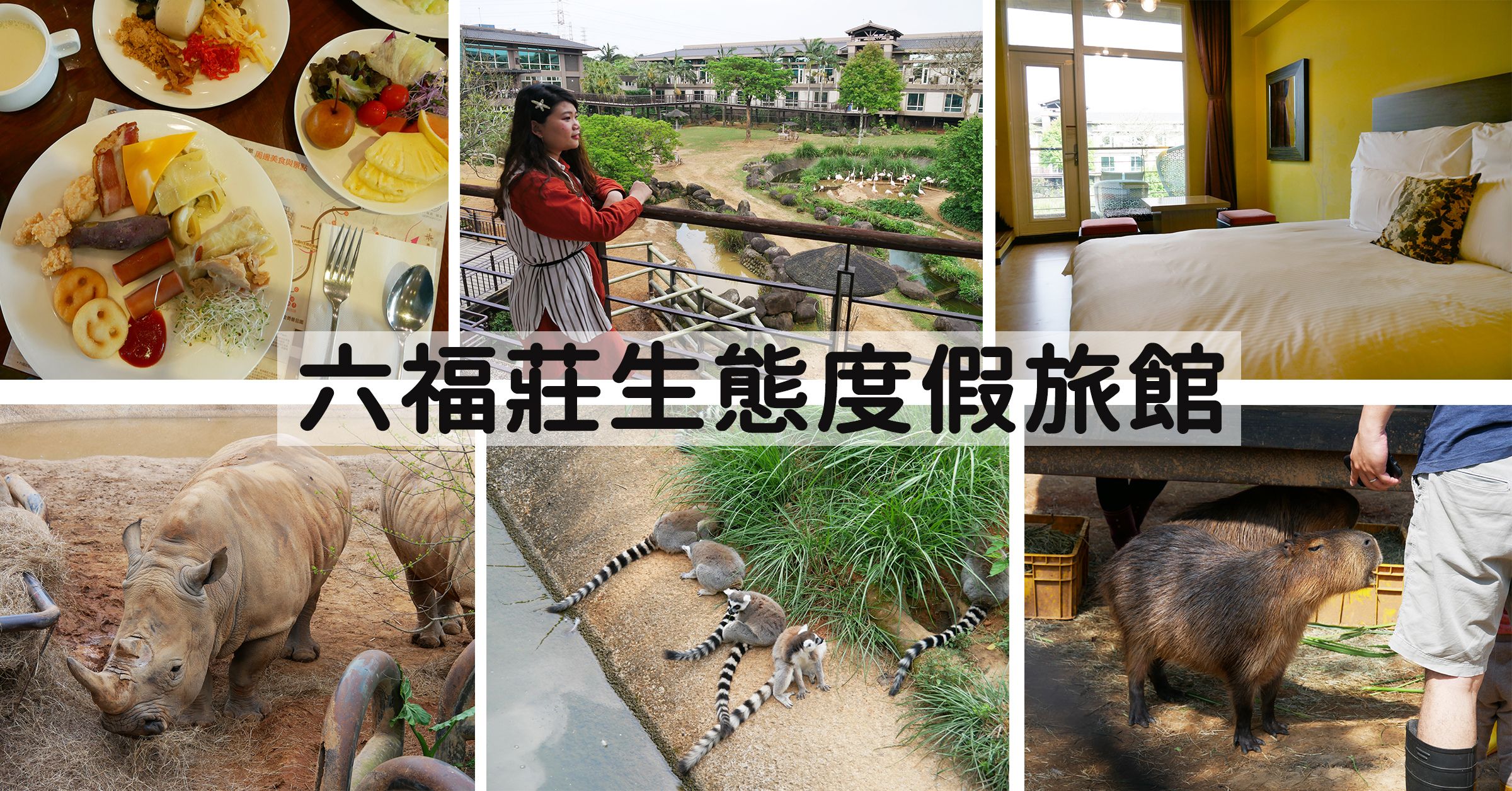 【新竹】關西六福莊生態度假旅館 陽台就能眺望非洲動物們。肯亞綠地客房體驗心得+優惠分享 新竹桃園旅遊推薦景點2022